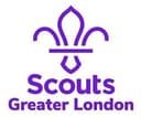 Scouts logo